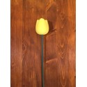 Tulipano