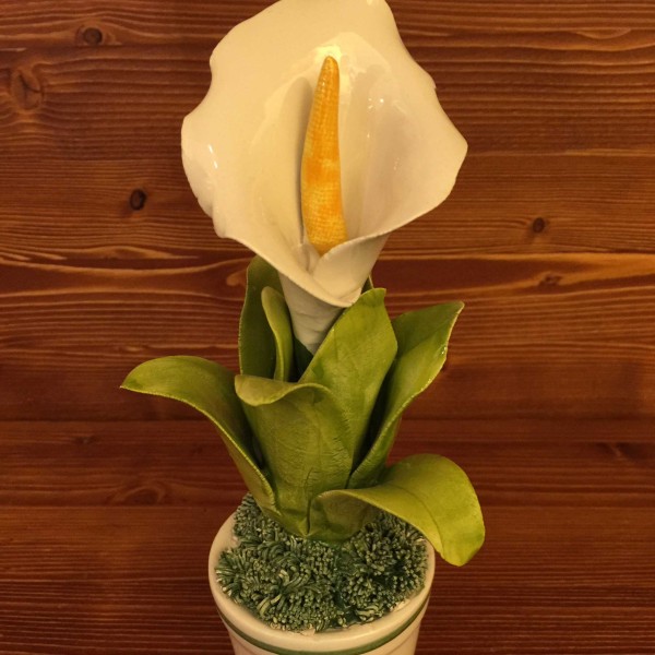 Vase mit einzelner Calla-Lilien-Blume