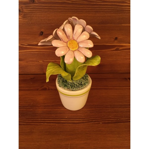 Vase with pink daisy Flower