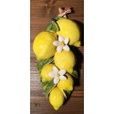 Tralcio 6 Limoni e fiori