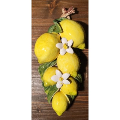 6 Zitronen und Blumen