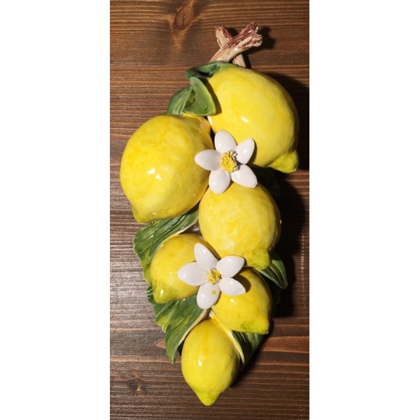 6 Zitronen und Blumen